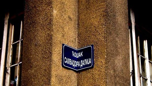 cosak salvadora dalija