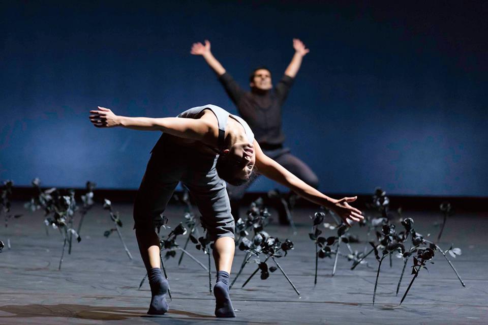 Belgrade Dance Festival 13th Edition