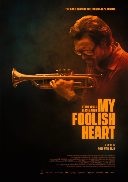 my foolish heart