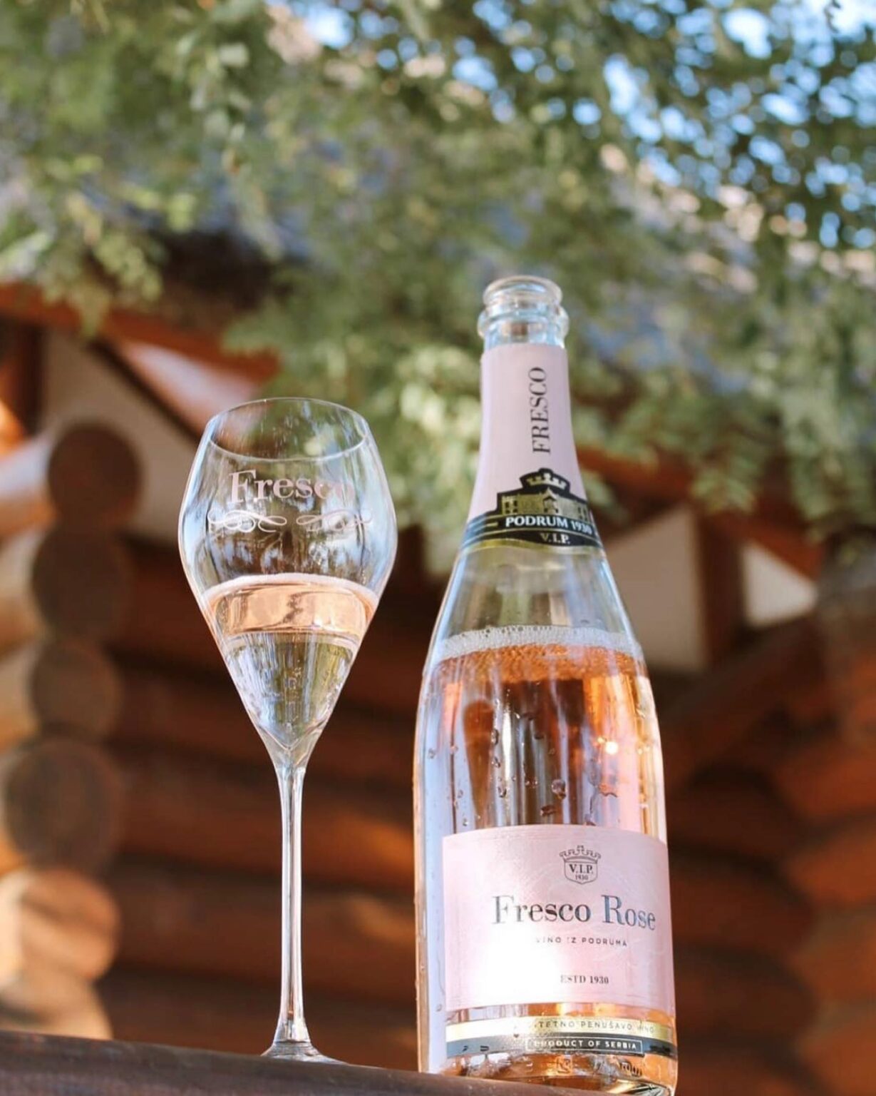 Endorfin Unleashing Culinary Bliss in the Heart of Dorcol • STILL IN